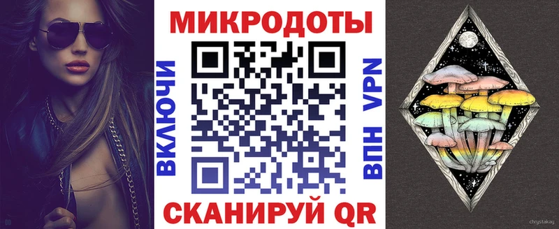 Галлюциногенные грибы Psilocybe  Вилюйск 